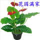 祥瑞仿真植物厂批发零售