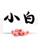 章乐女鞋店 店铺LOGO