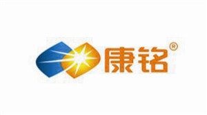 康铭LED应急照明灯直销店