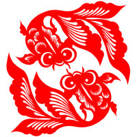 小李观赏鱼