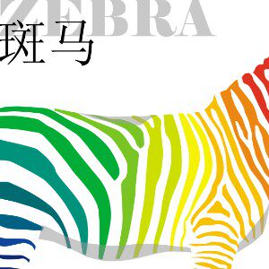 斑马志