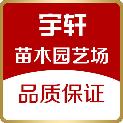 宇轩苗木园艺场
