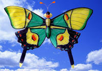 鸢都外贸家居服