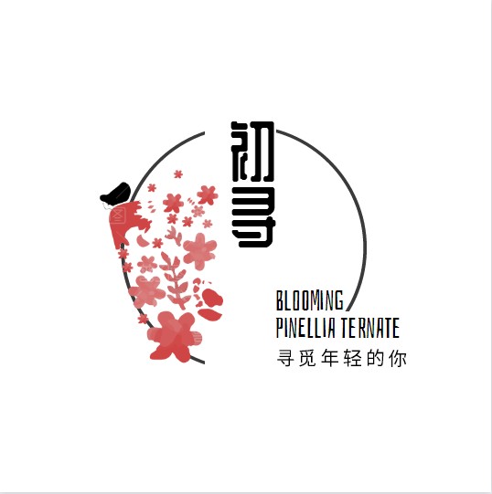 素说与麻 棉麻坊