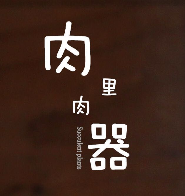 肉里肉器花盆