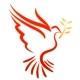 相机包摄影包 店铺LOGO