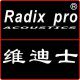 维迪士电子音响科技 店铺LOGO