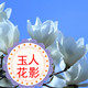 玉人花影精品馆