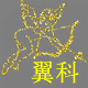 维系数码