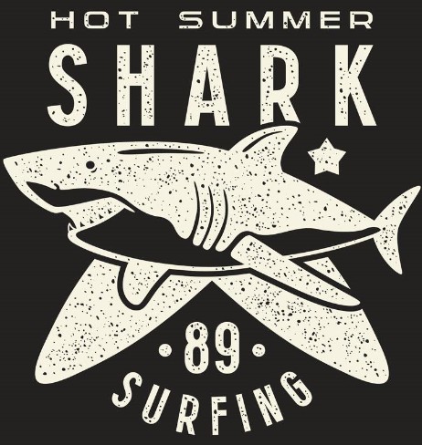Shark家具总店