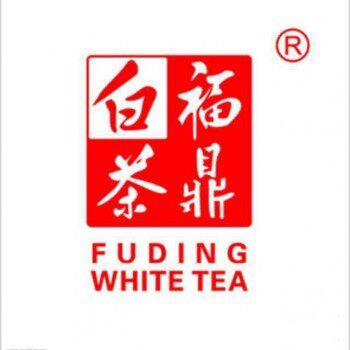 雾茗春白茶