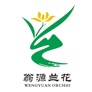 翁源兰花直供基地