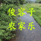 俊容子农家乐 店铺LOGO