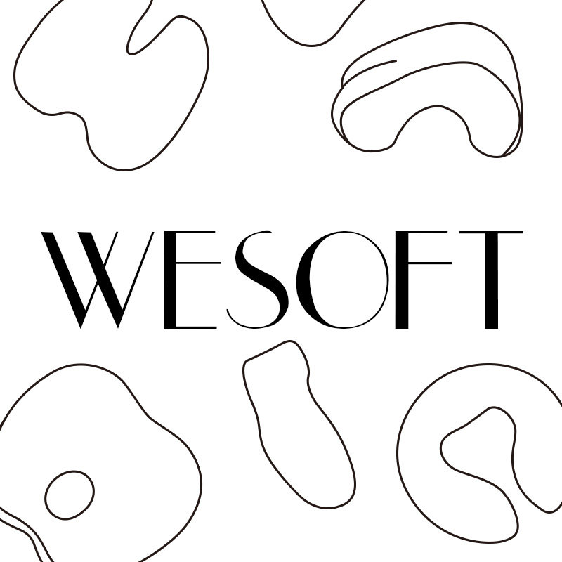 wesoft家居企业店 店铺LOGO