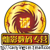 灿影3D直销店企业店