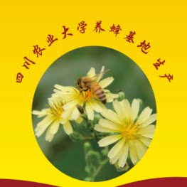 川农 蜜蜂课题组研究实践基地