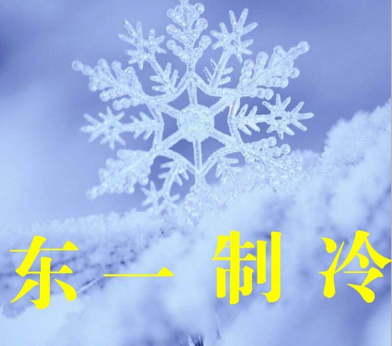 东一制冷ebmpapst电机