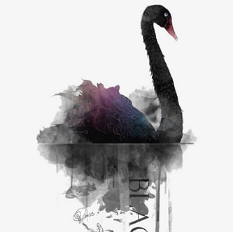 黑天鹅 游戏在线