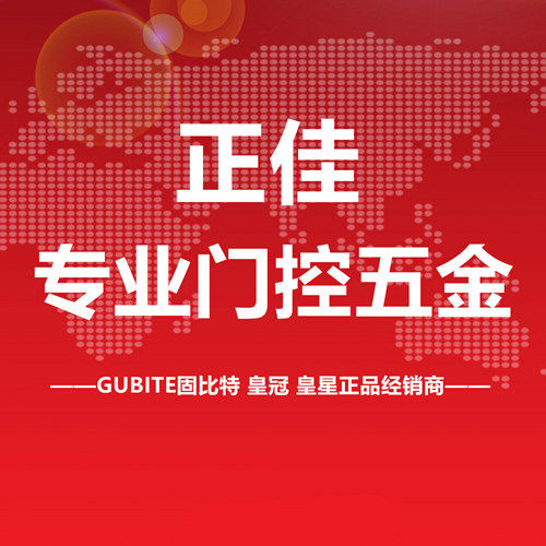 正佳专业门控五金