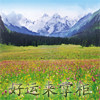 新疆好运来植物养发店 店铺LOGO