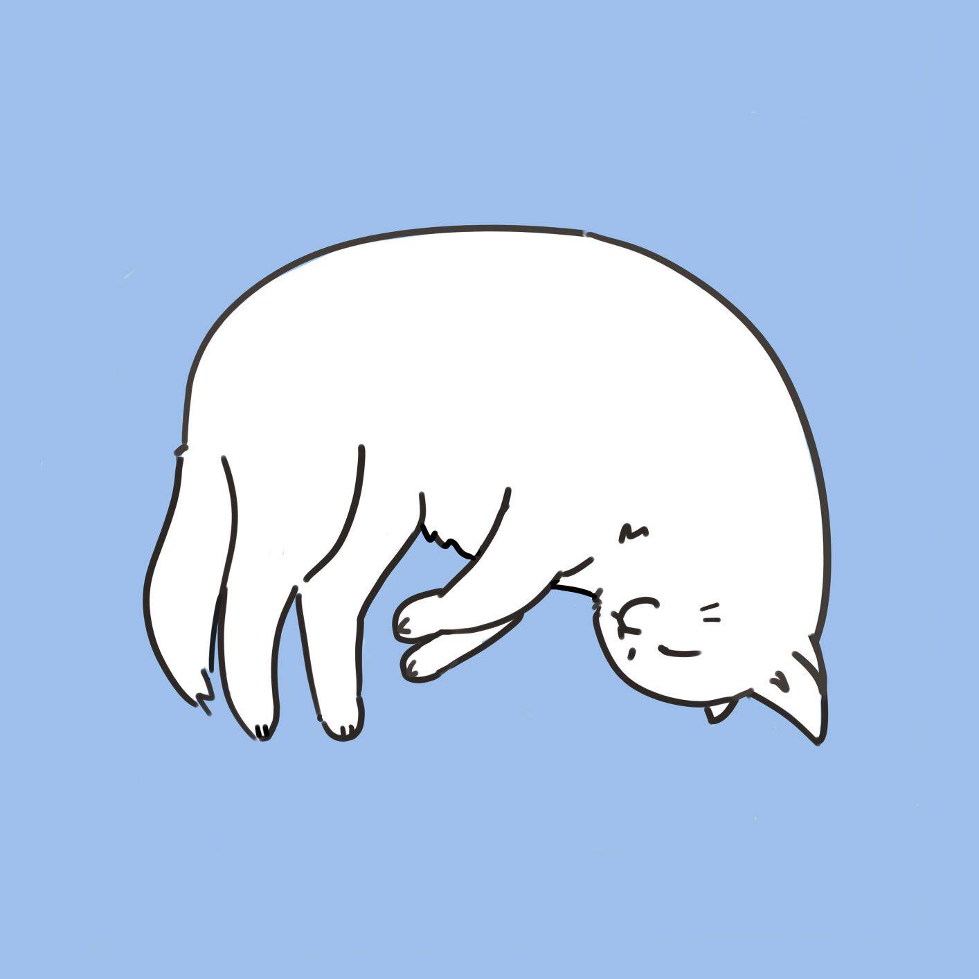 暖猫小酒馆