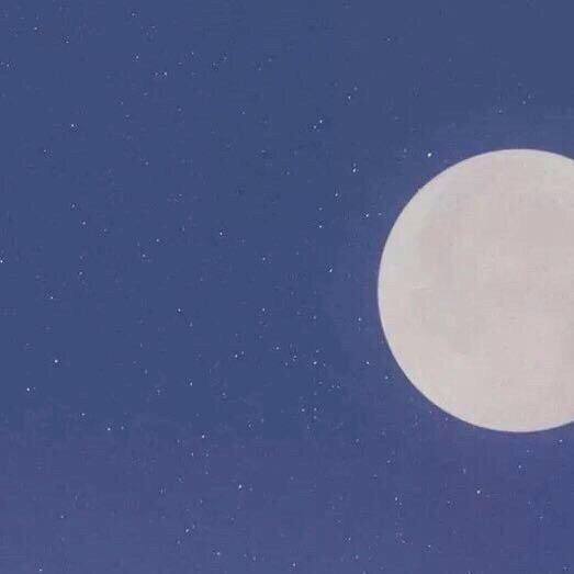 郑大钱 STUDIO