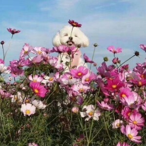 嘉妮护肤批发