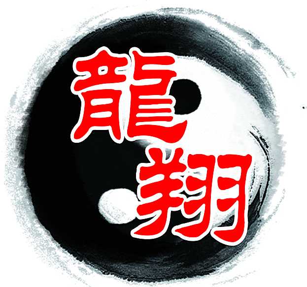 龍翔鞋吧 店铺LOGO