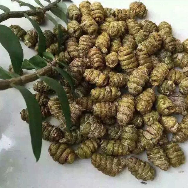 养生堂铁皮石斛