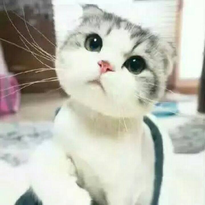 鑫鑫百宝屋