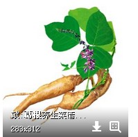 客诚土产