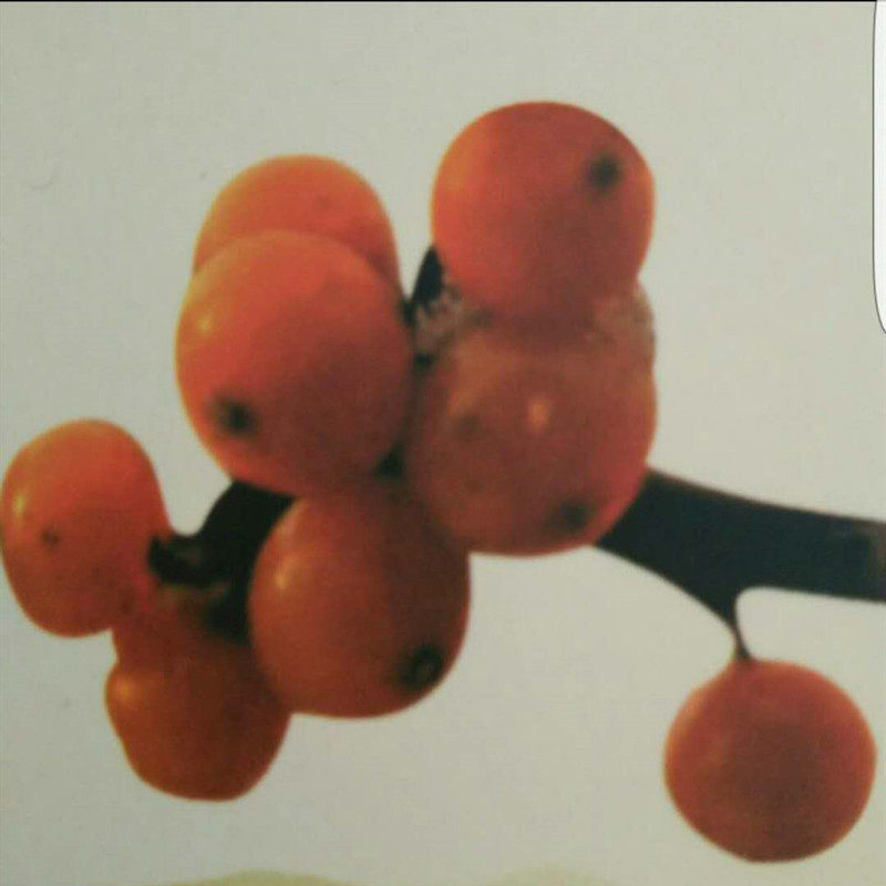 保健养生中心