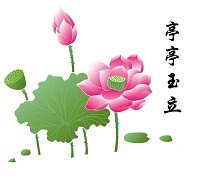 希和包装