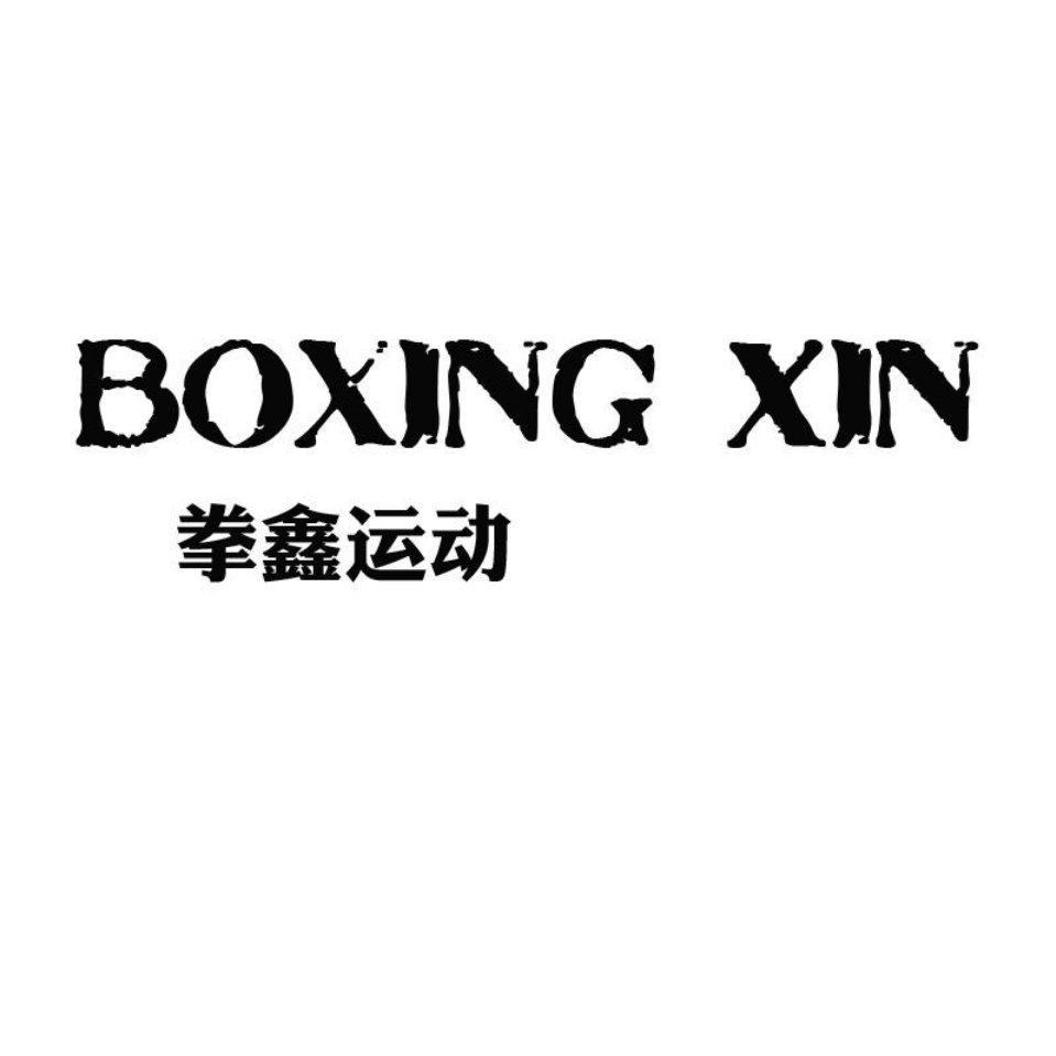 拳鑫运动