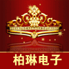 柏琳电子企业店