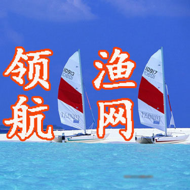 领航匠造渔网 店铺LOGO