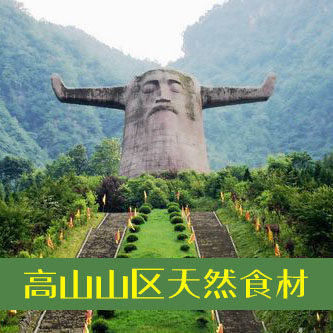 玄皇之扁鹊神农架百草