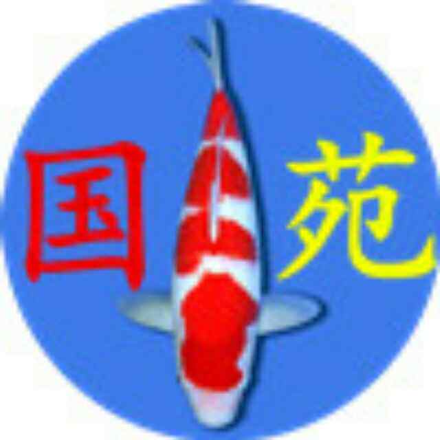 国苑锦鲤