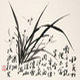 陆小蓝兰花苑