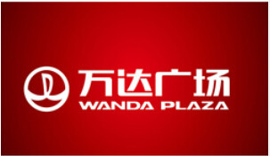 YY羽毛球套装
