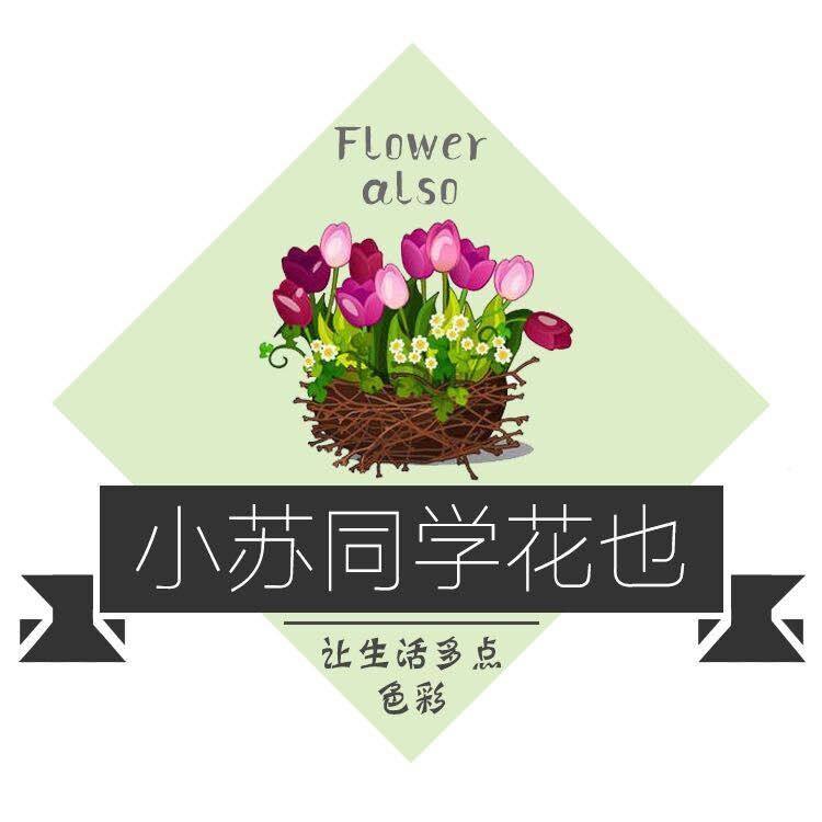 小苏同学花也