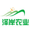 泽岸农夫市集