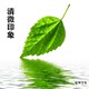 清徽印象家居
