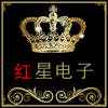 赛格红星电子