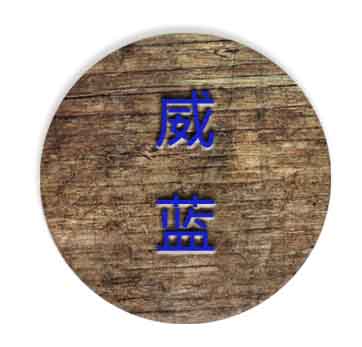 威蓝网络科技
