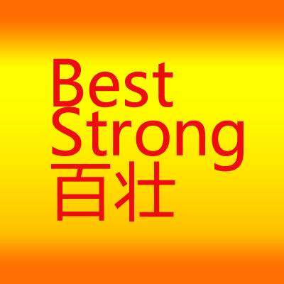 广州百壮汽配 店铺LOGO