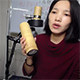 小城有大艾