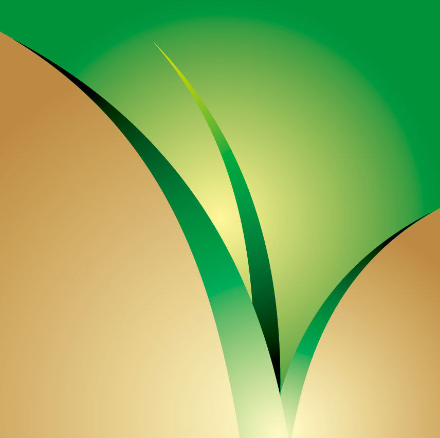 盛禾百家餐盒 店铺LOGO