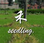 春长之苗