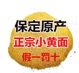 保定斗鱼王小黄面工厂